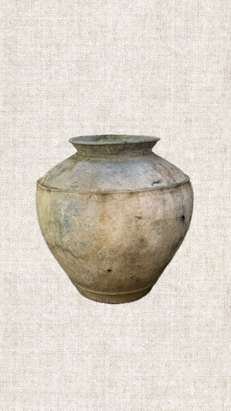 Indies Pot 06-41