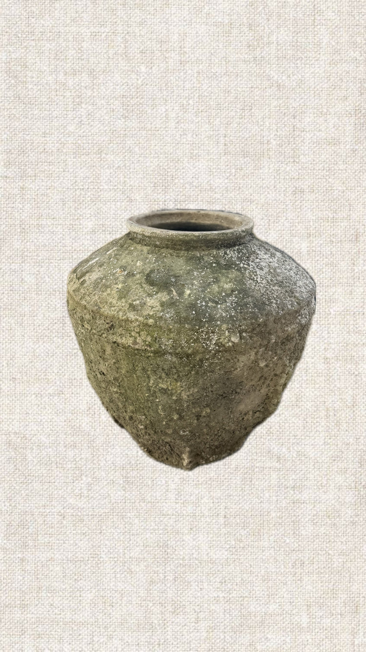 Indies Pot 06-35