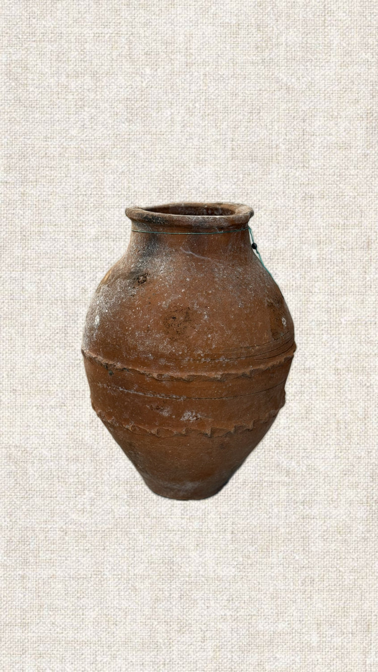 Organic Ringed Olive Pot T2-184