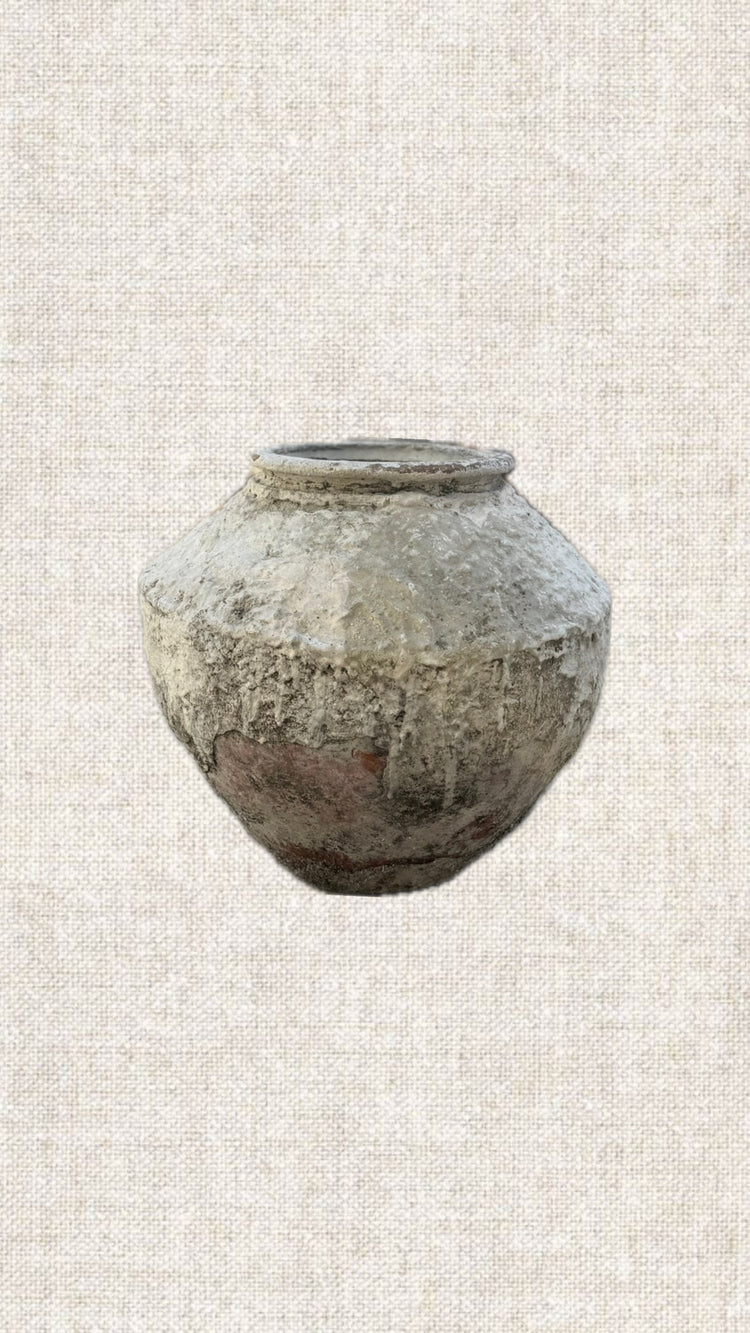 Indies Pot 06-31