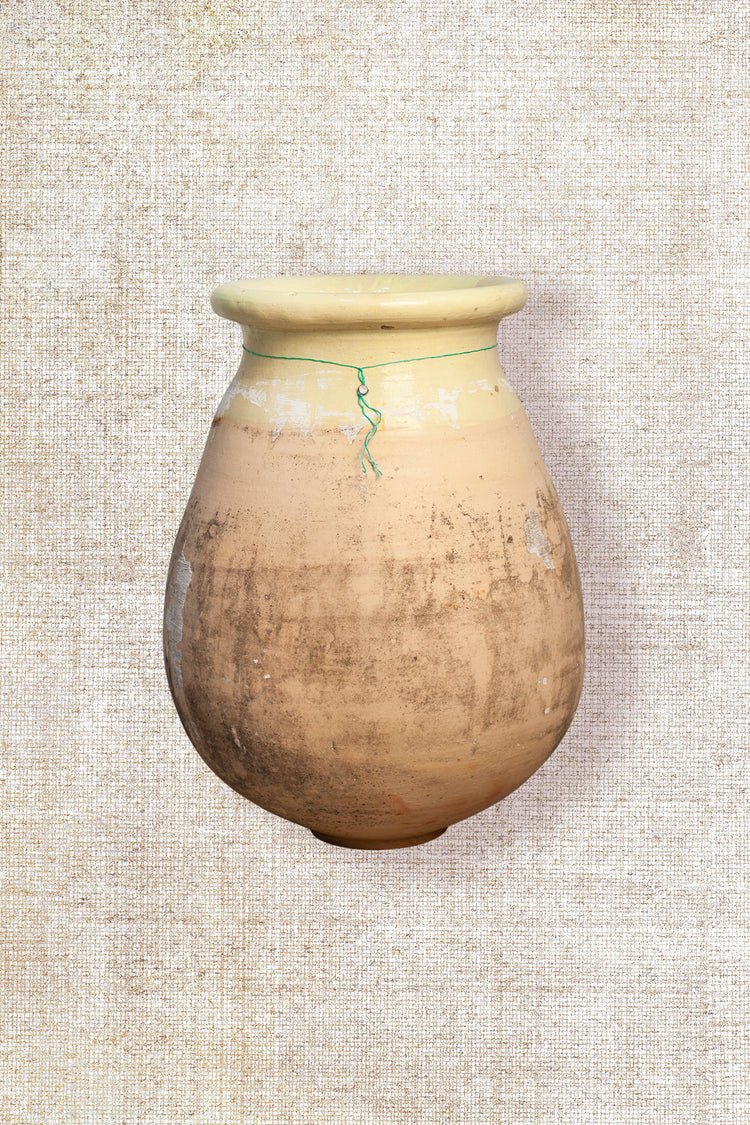 Biot Pot ( Rare find ) 8