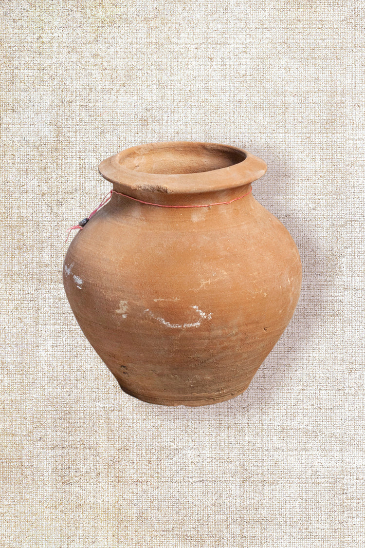 Terracota vase- Bulb 119